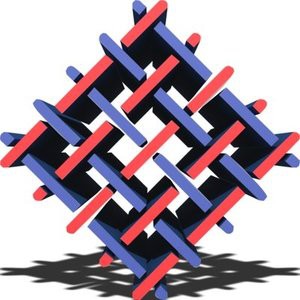Fabric Token